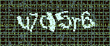 CAPTCHA_picture